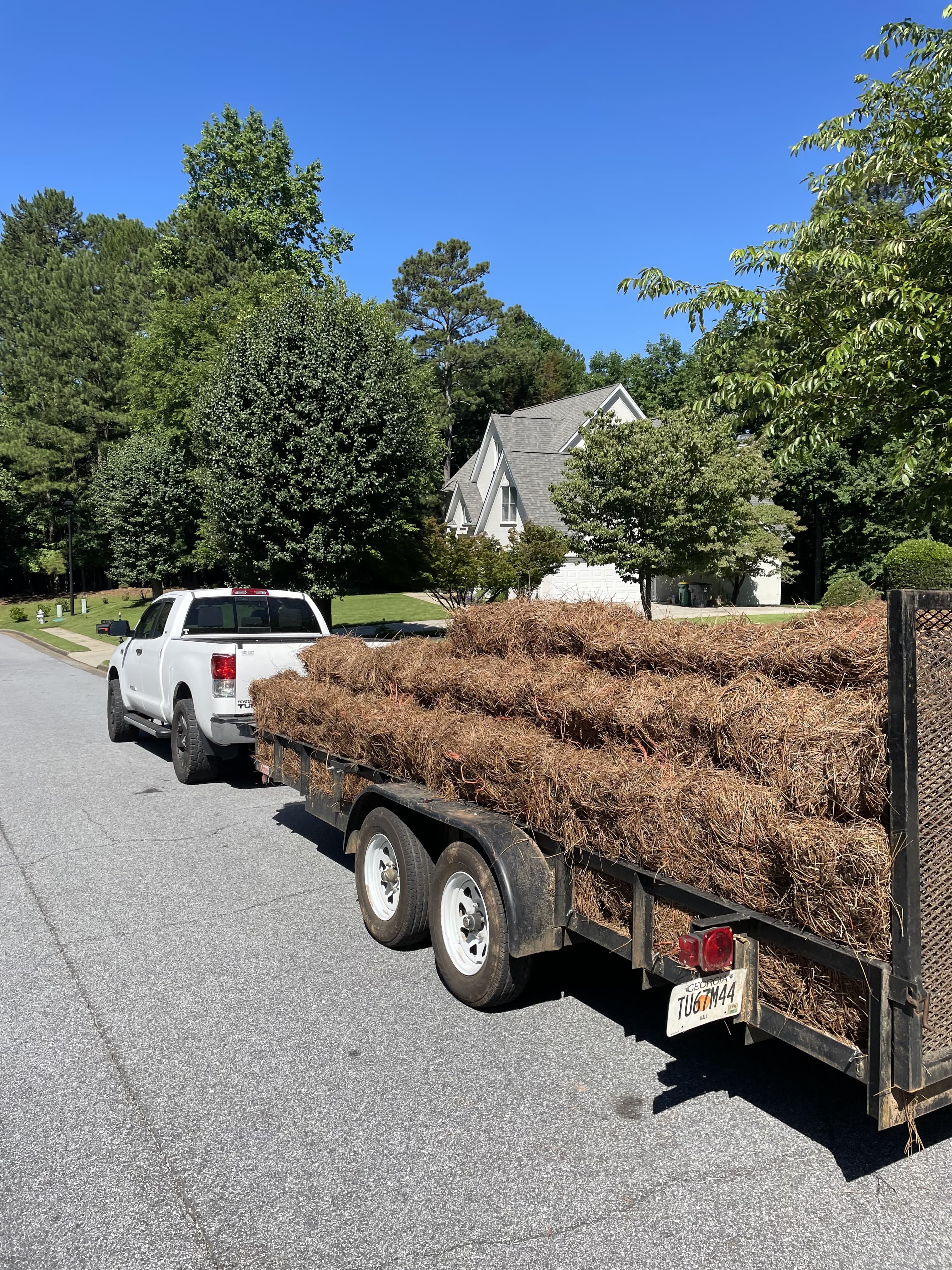 Junk Removal
